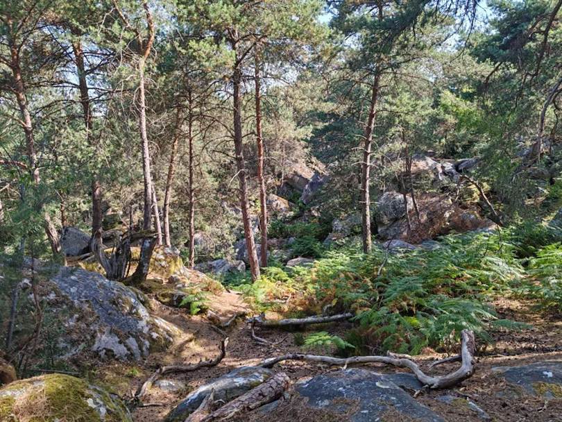 27a632b3ee4205f97408bba4485f5e6