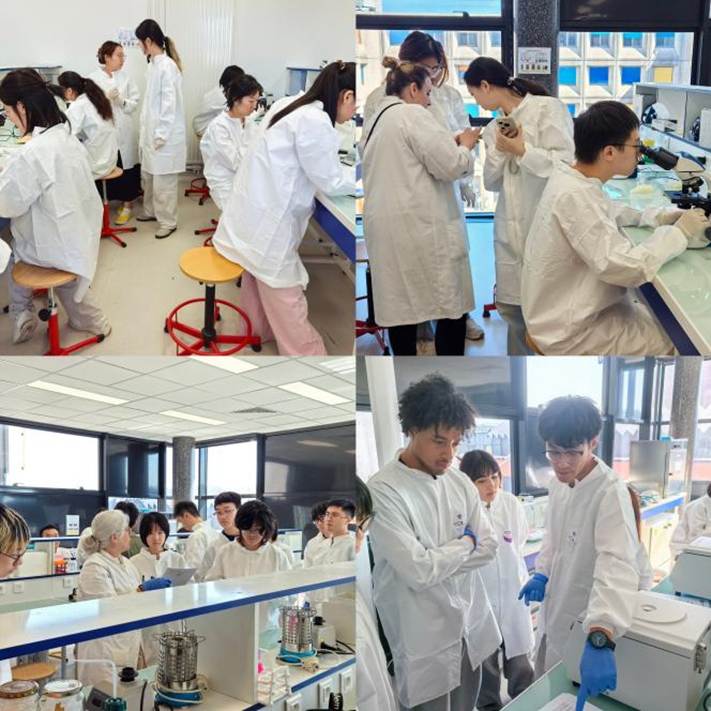 b37993e40682fc5325c1ac9f1adecae