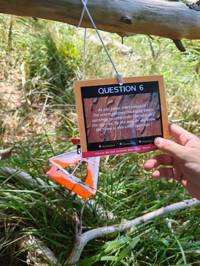 9c3649c757926414d123caad7aaab5a