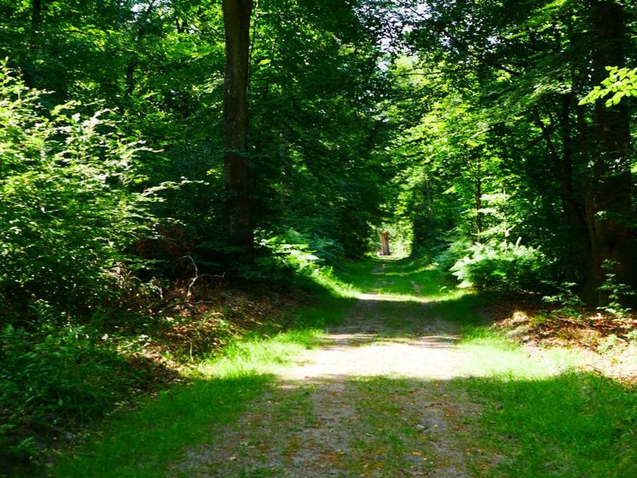 93bde1981ef7f2b813290dbc4e72a2f