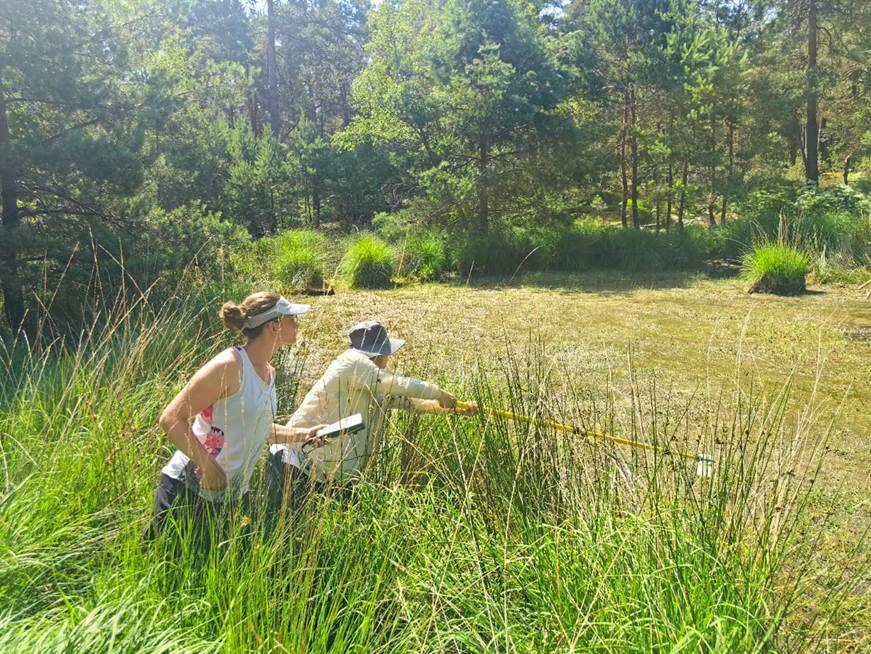 374f95147b304792ea159cc252d3417