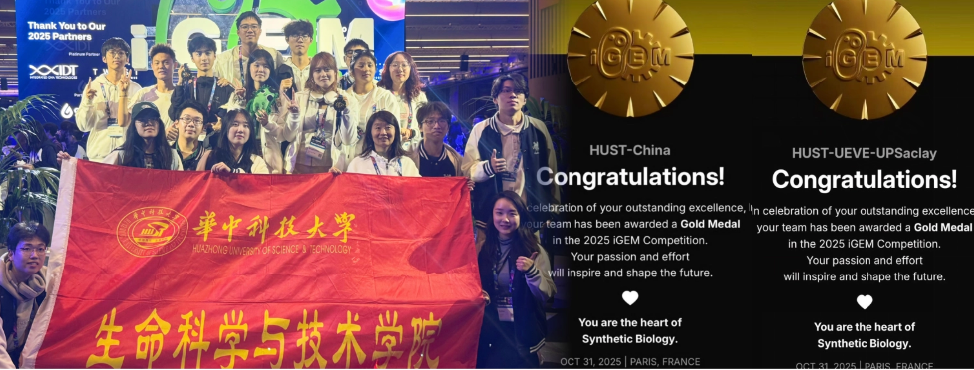 国际金奖X2！​必威西汉姆联官网本科生科创团队再次斩获国际大赛金奖